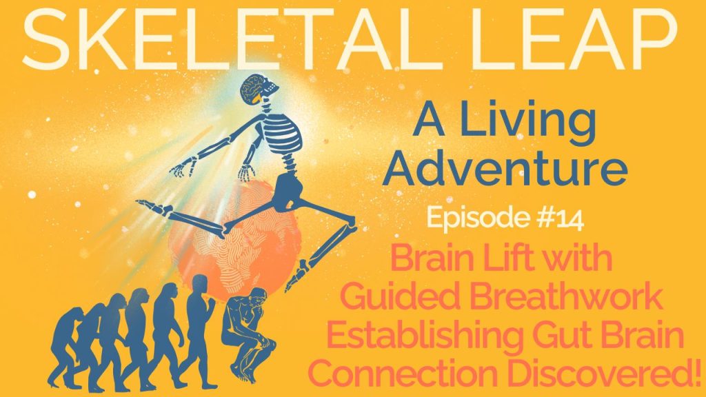 Brain Lift with Guided Breathwork Establishing Gut Brain Connection Discovered!